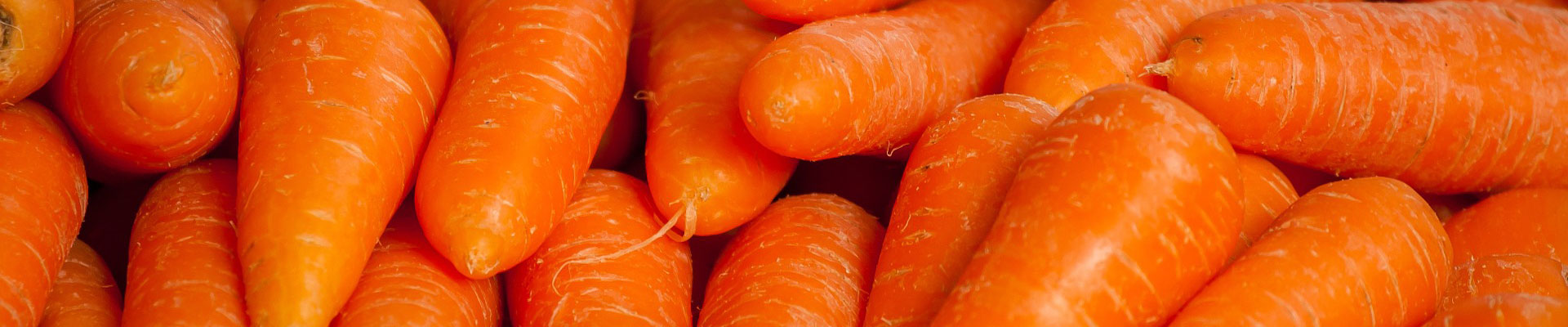 Carrots