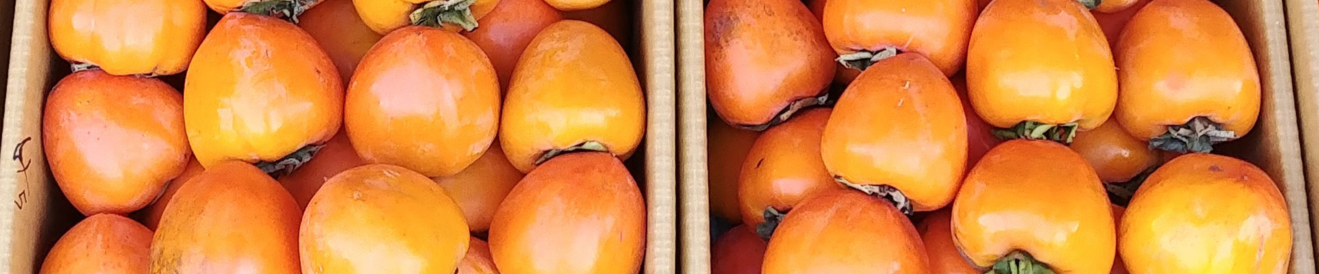 Persimmons