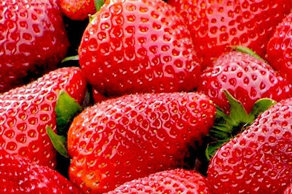 strawberries