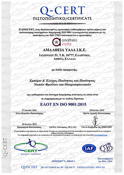 ISO 9001 EL
