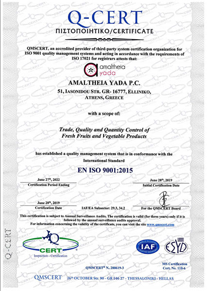 ISO 9001 EN