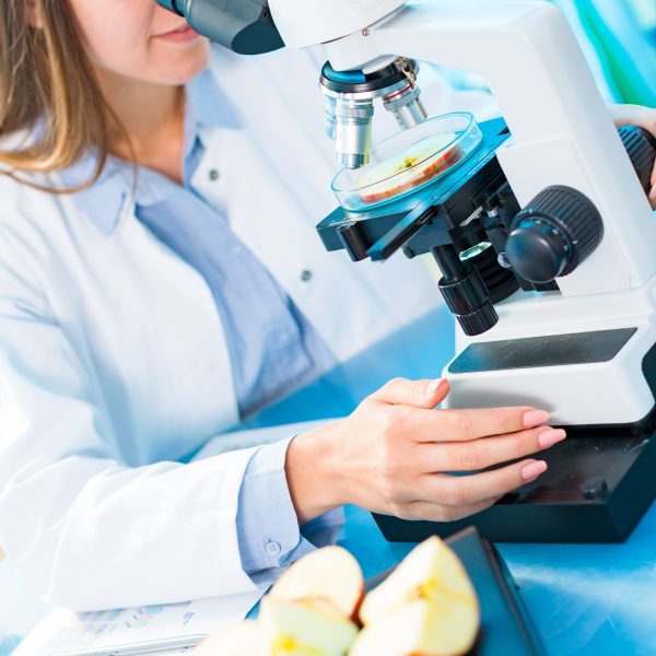 lab lab tests
